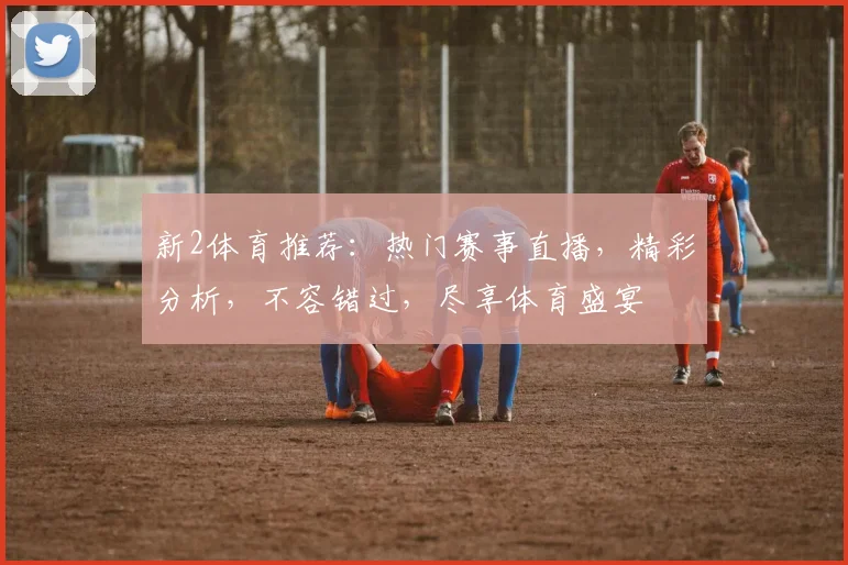 新2体育推荐：热门赛事直播，精彩分析，不容错过，尽享体育盛宴