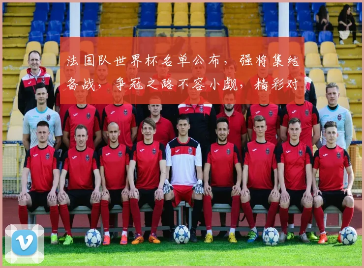 法国队世界杯名单公布，强将集结备战，争冠之路不容小觑，精彩对决在即