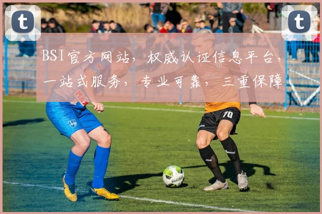 BSI官方网站，权威认证信息平台，一站式服务，专业可靠，三重保障，值得信赖，一站式解决方案。